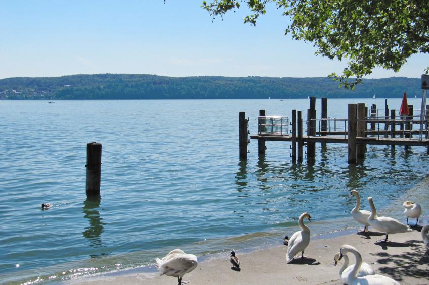 3-Zimmer-Fewo mit herrlichem Seeblick - foto 25