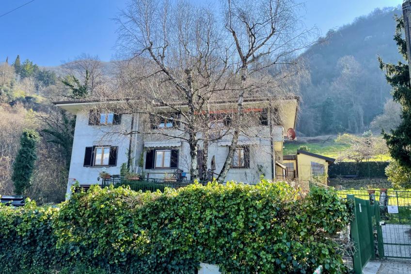 Nel Castagneto