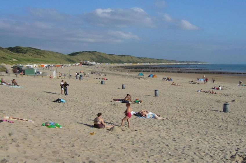 Aparthotel Zoutelande - 4 pers luxe appartement huisdieren - foto 26