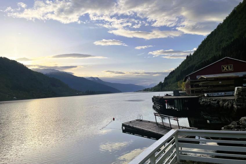 Fjordtraum - foto 22