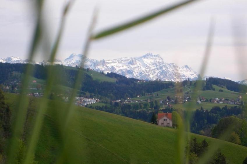 Ferienhaus, (Stöckli) Klingenbuch 20 - foto 9