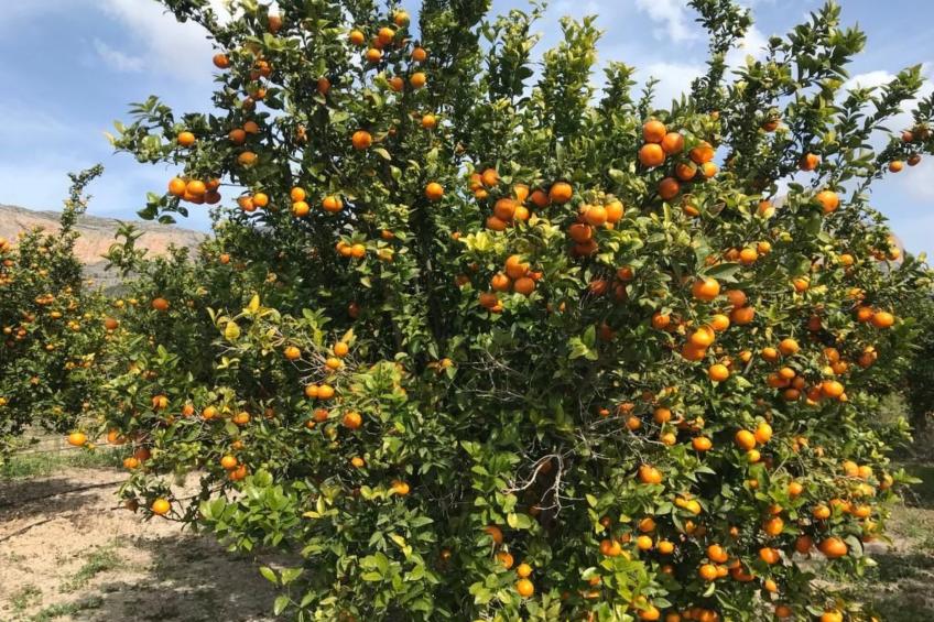 Villa SOL 32 - foto 52