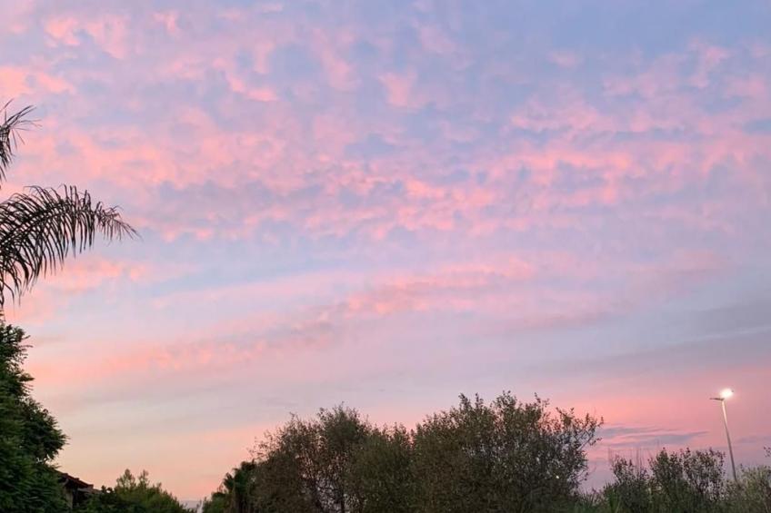 Wohnung in Campomarino mit privatem Parkplatz - foto 10