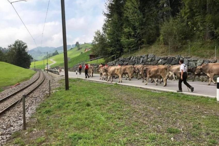 Bömmeli,Appenzell AR - foto 30