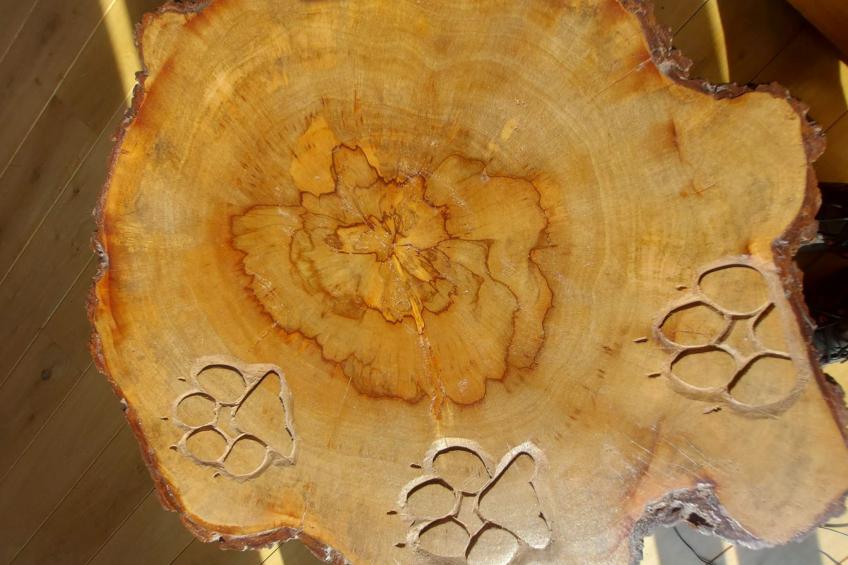 Berghütte "Pumbaa House" mit eigenem 'Pool' - foto 5