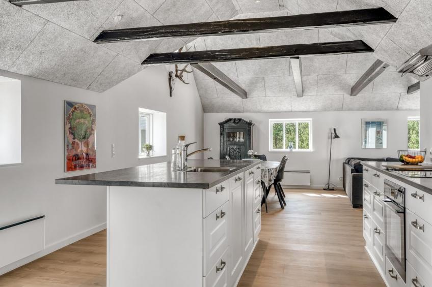 "Elisa" - 1.2km from the sea in NW Jutland - foto 30