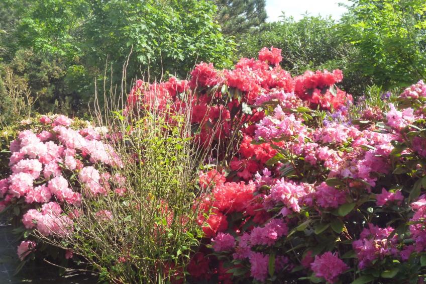 "Ty Saoson" mit Blick auf das Wasser - foto 19