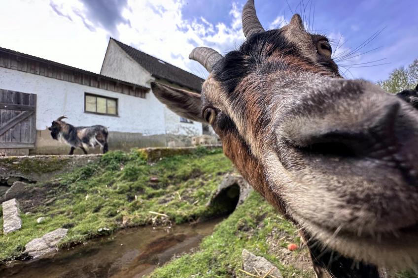 Feriendorf Seeblick - Tiny Nr 1 - foto 20