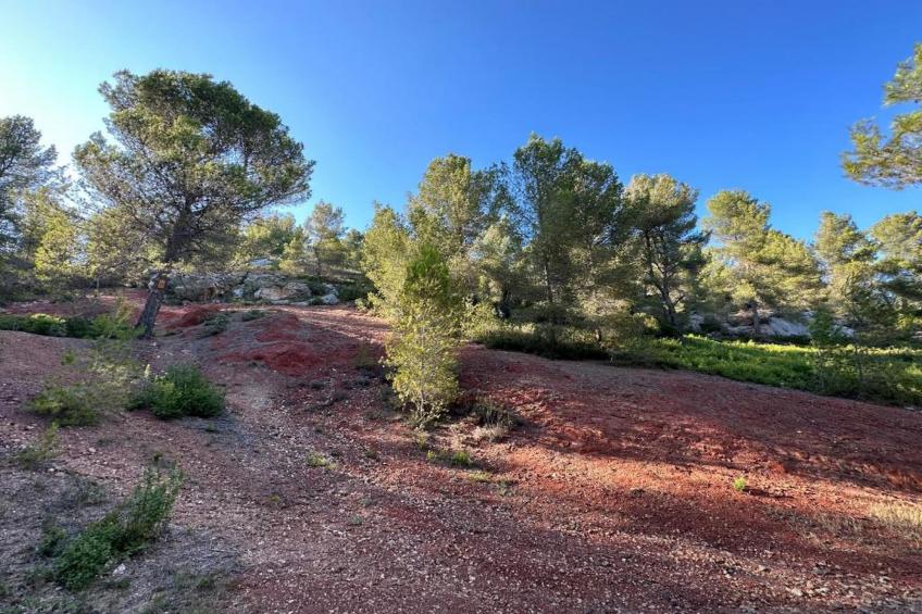 Résidence Le Mas des Alpilles - foto 32