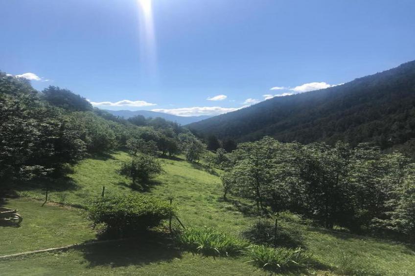 Le Mont d'Auron 2 - foto 36