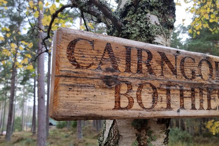 Birch Bothy - foto 15