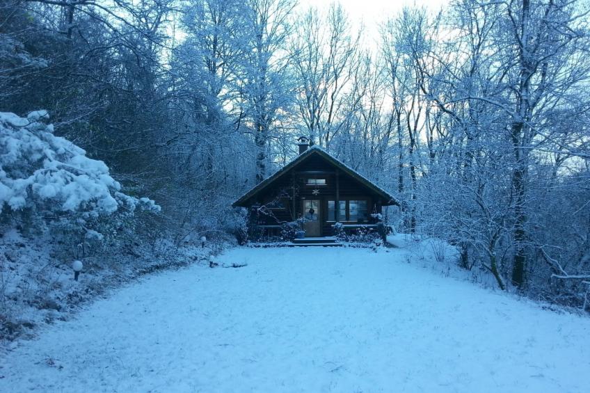 Finnisches Holzhaus - foto 46