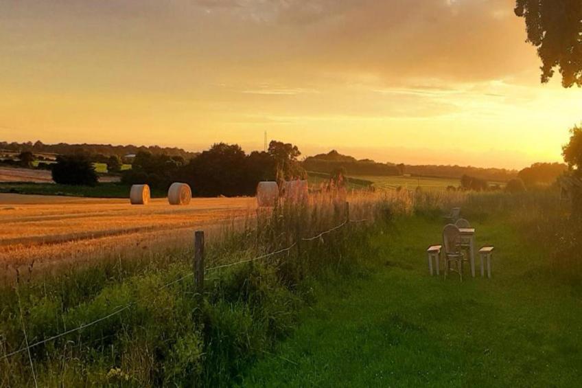 Bulrush Bell Tent - foto 31