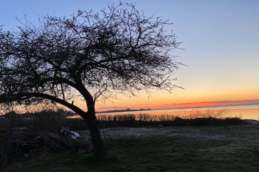 "Viveke" - 10m from the sea - foto 23