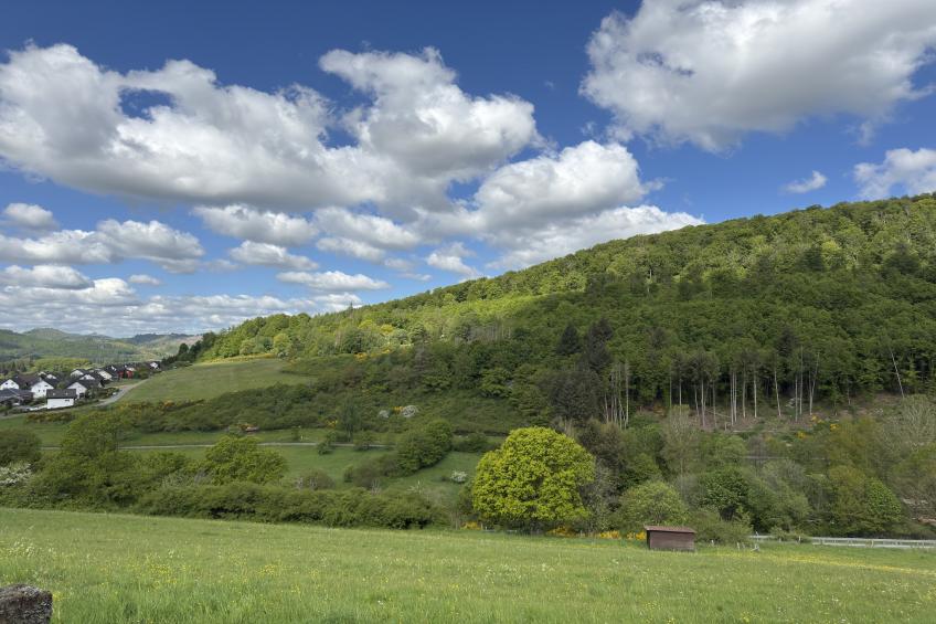 Holiday home Sackpfeifenblick, Hatzfeld - foto 49