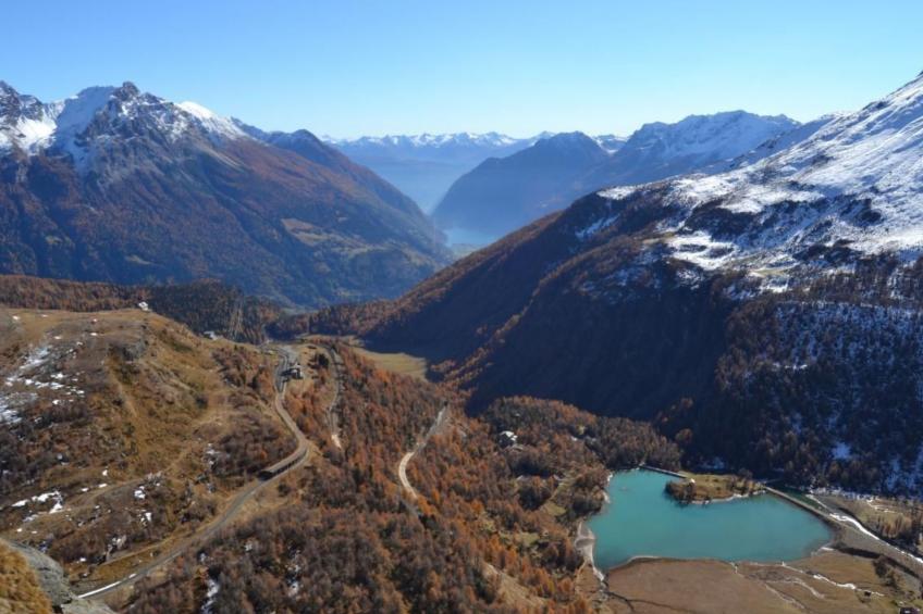 Sonnige 2.5-Zimmer Wohnung an ruhiger Lage - foto 9