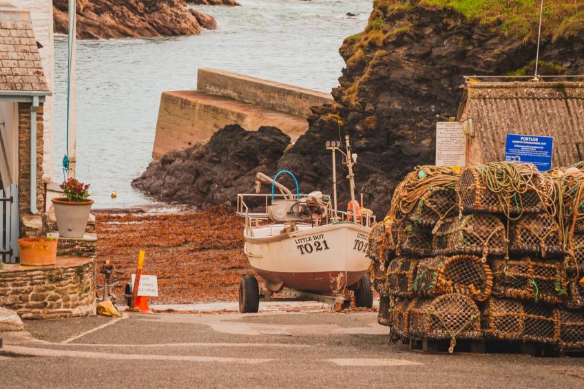 Dingles Cottage - foto 19