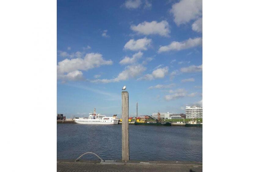 219204 - foto 25