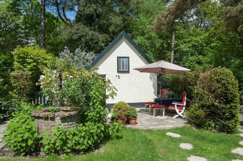 Kleine Nachtegaal - foto 4