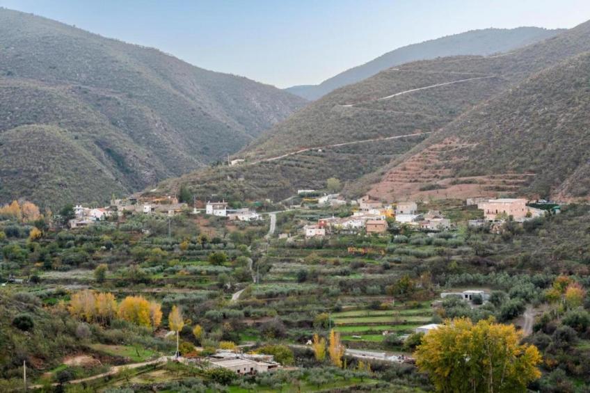 Casa la Albaida - foto 27