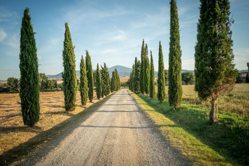 Tenuta "Podere Osteria" - foto 11