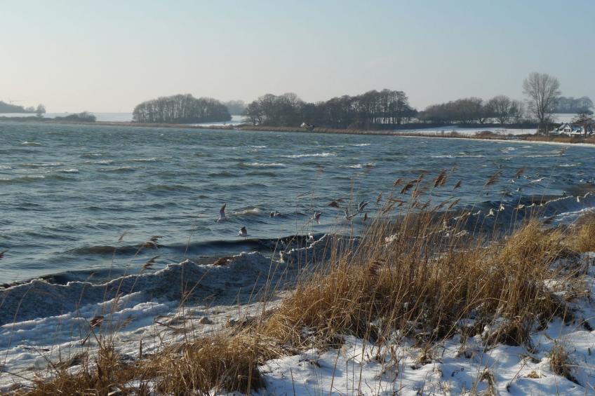 in idylischer Lage - foto 32