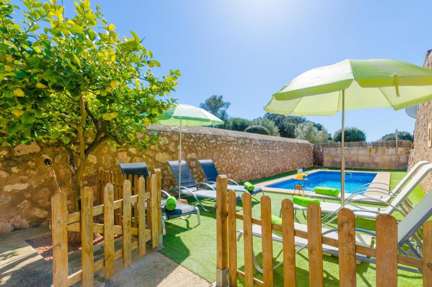 Finca Can Maria Costitx - foto 19