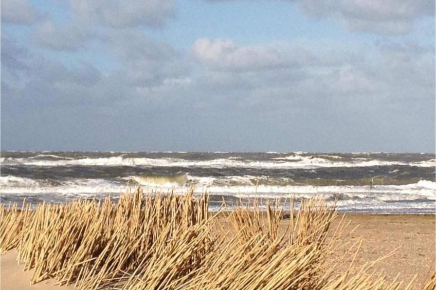 Vakantiehuis De Weide Blick - foto 34