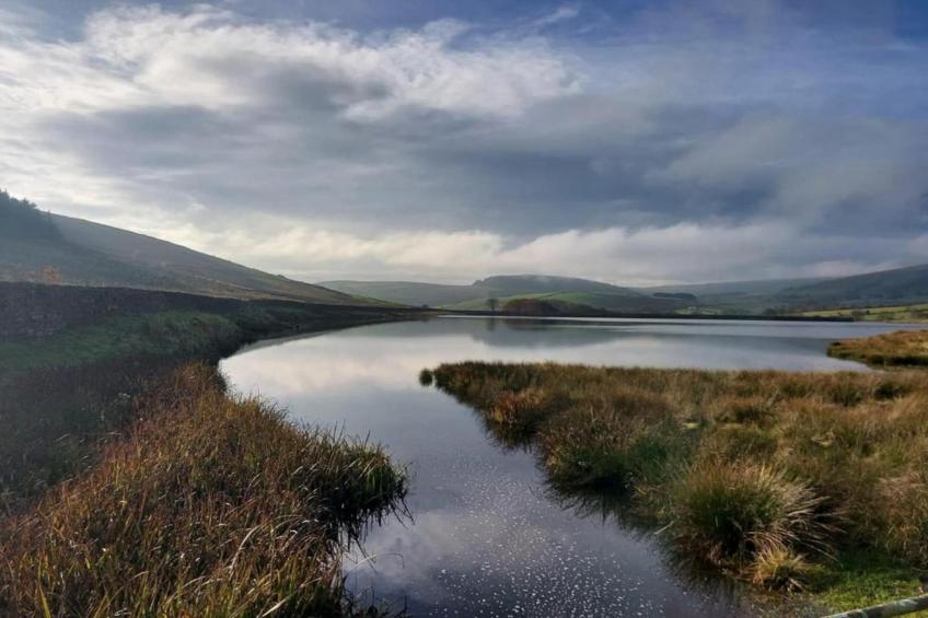 FLAT 4- GROVE APARTMENTS - foto 31