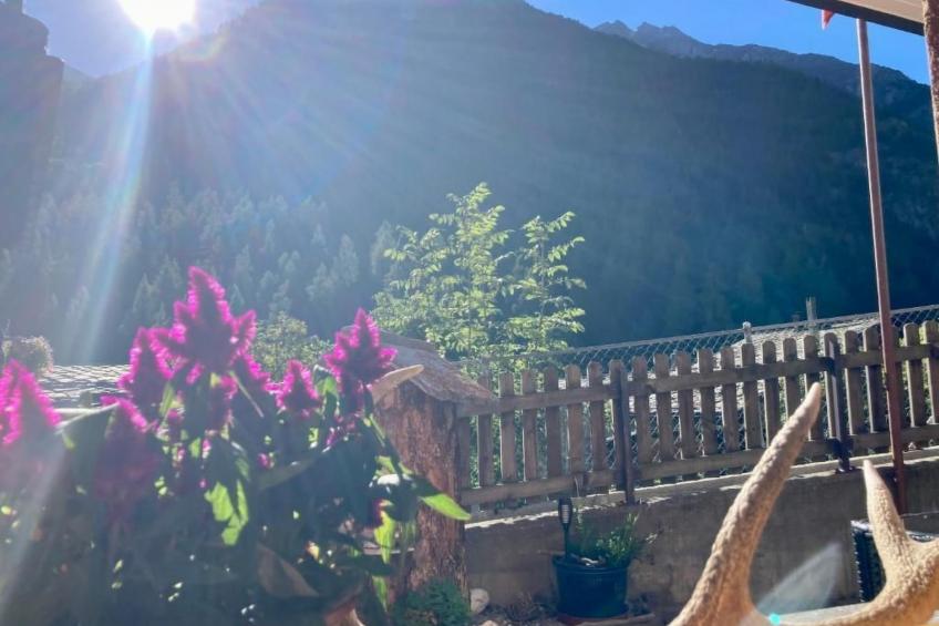 Morgengruss - foto 17