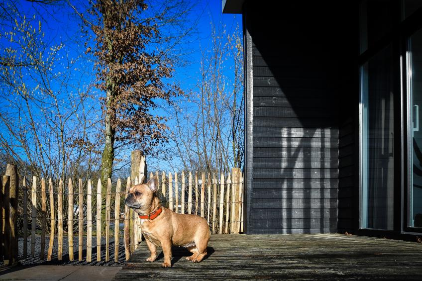 Forest lodge with enclosed garden I 4 people (copy) - foto 14