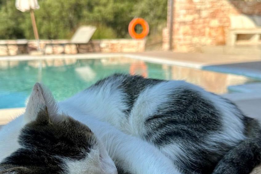 Prächtige Villa in spektakulärer Lage - foto 35