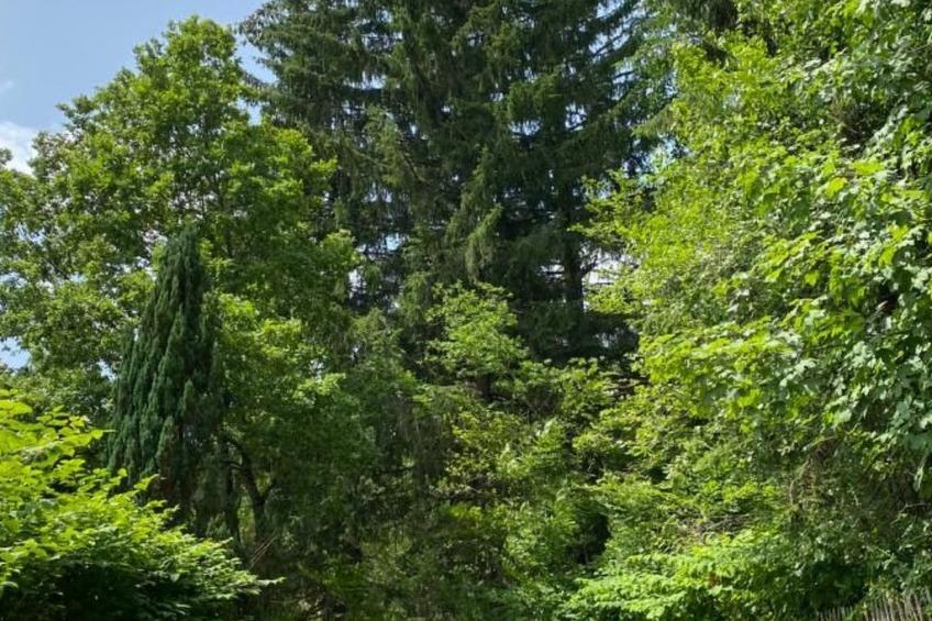 in Ventron mit eingezäuntem Garten - foto 16