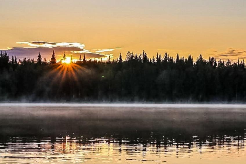 Niemenkärki, vaikon loma ja lohi - foto 15