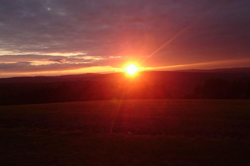 in Erlbach mit Grill und Terrasse - foto 7