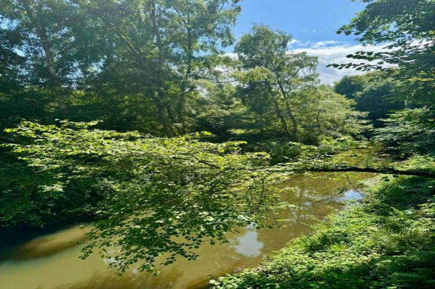 Shrawardine Train Carriage - foto 19