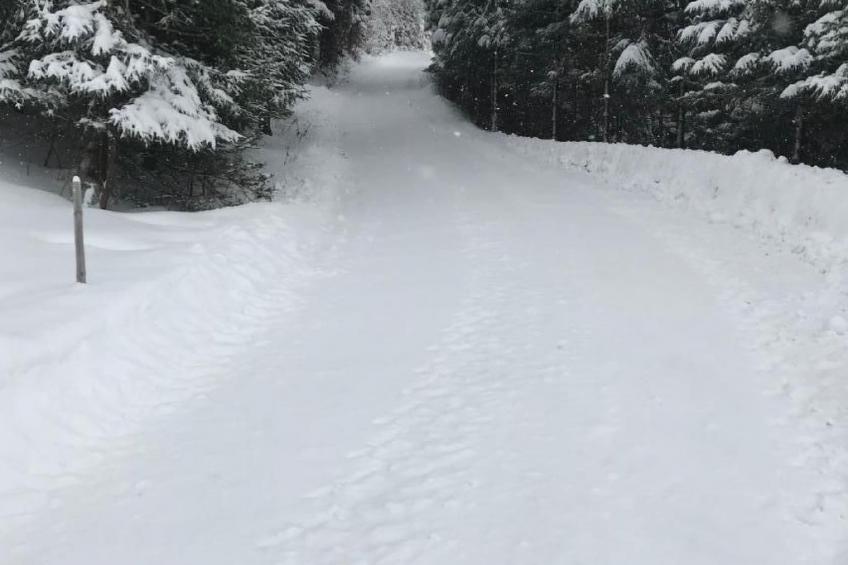 mit Blick auf die Berge - foto 36