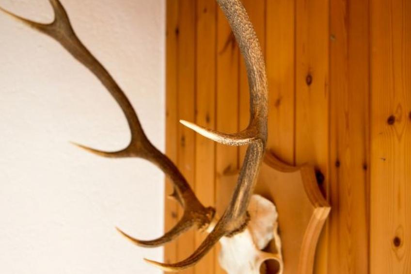 Haus Schmitten - Davos - foto 18