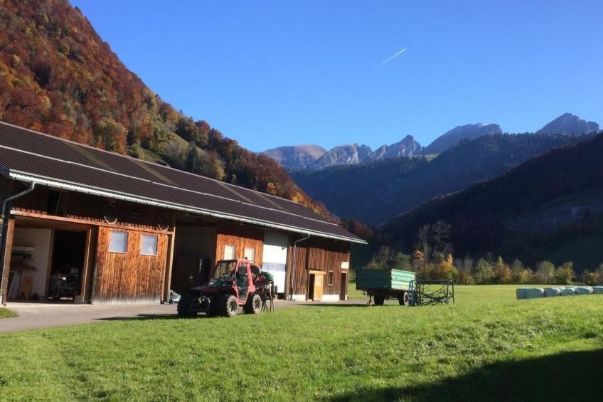 Wis (Stein) - foto 5