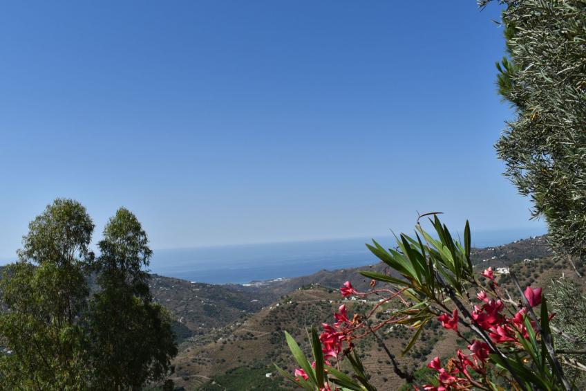 Finca Algarabia mit privatem Pool - foto 24