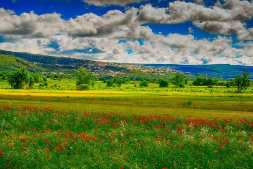 Beautiful Haven Villas - Villa Antonija with Outdoor Pool - foto 24