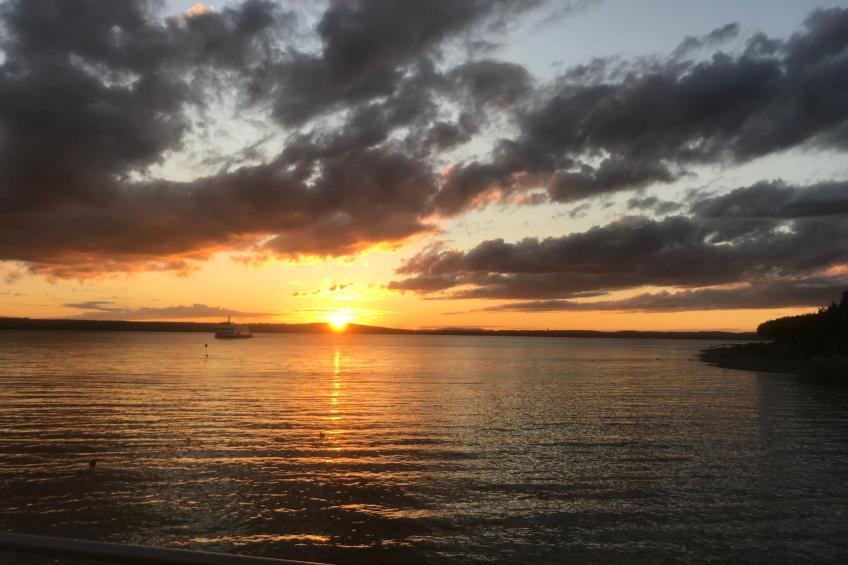 FeWo in ruhiger Südhanglage - foto 15