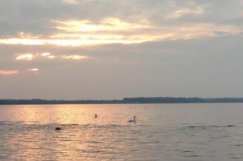 Zierow Z4A - foto 26