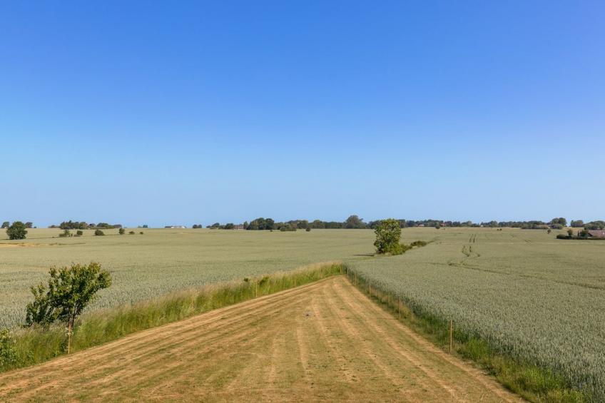 "Tishon" - 3.5km from the sea in Bornholm - foto 23