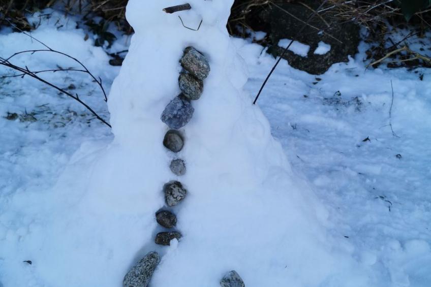 in Ludwigsreut mit Terrasse, Garten und Grill - foto 41