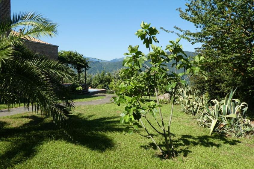 246586 - foto 18
