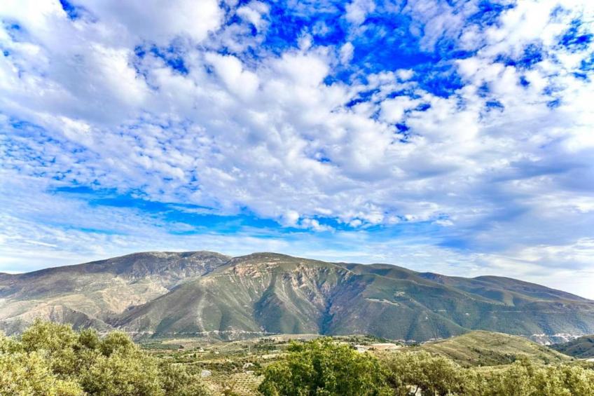 El Ensueno - foto 37