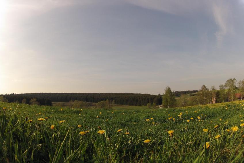 Ferienhaus in Hasselfelde - Haus 318 Auerhahn - foto 15