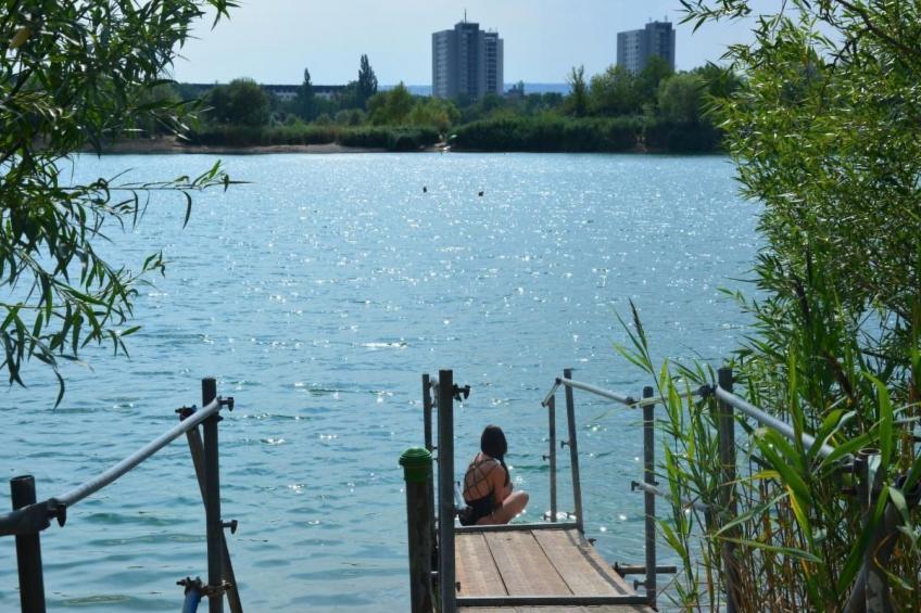 kunstsammler - foto 17