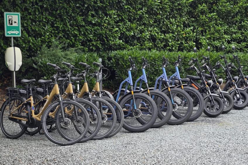 De Veluwse houtduif - foto 47